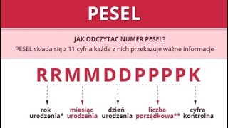 Что такое PESEL, зачем он нужен и как заполнить внесек на получение этого номера