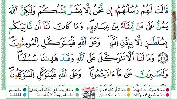 (مكررة) حفظ سورة ابراهيم  (04) للقارئ الشيخ محمد سايد