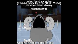 Dandys World Moments