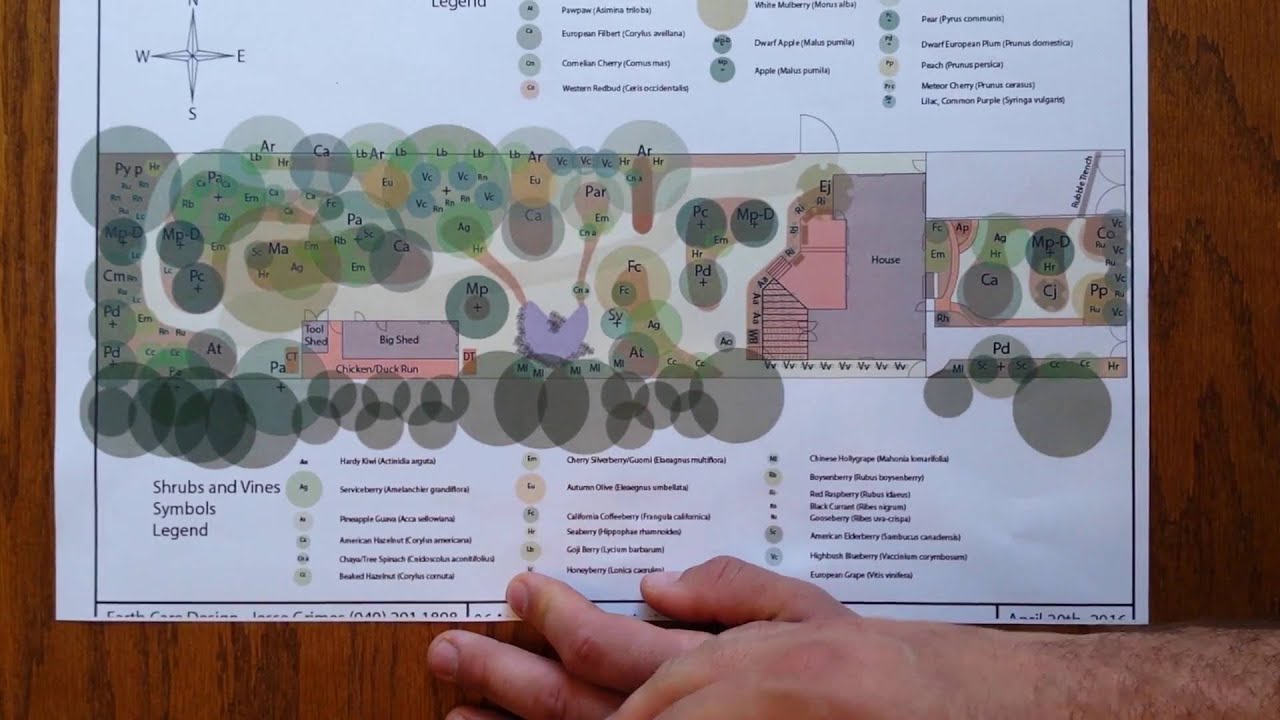 Suburban Permaculture Design