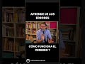 EL ERROR ES PARTE DE TU ÉXITO