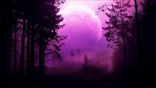 Purple Dawn ~ Bonganchamun