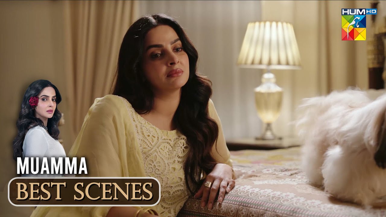 Muamma Episode 01- Top Moment #Muamma #sabaqamar - Hum TV - YouTube