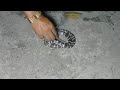 Very aggressive common krait late night moment rescue by mobarak snake saver