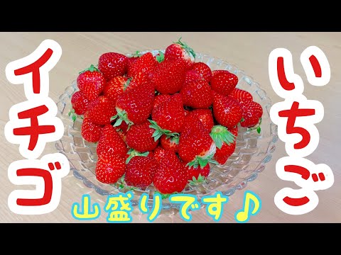 【食べ比べ】🍓イチゴ！いちご！苺！🍓5品種のお味は…