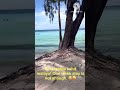 Bora Tayo! Boracay Island Philippines Vacay #boracay #caticlan #summer2026