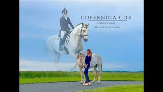 Copernica Cor  The Andalusian