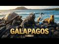 Zamanın Unuttuğu Kayıp Dünya: Galapagos Adaları