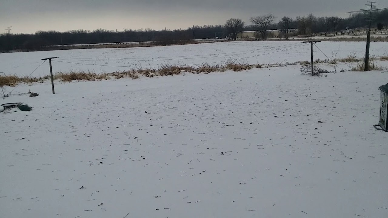 6 Inches of Snow From Winter Storm Jacob YouTube