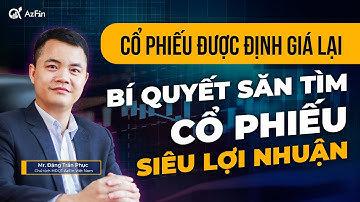 BÍ QUYẾT SĂN TÌM CỔ PHIẾU SIÊU LỢI NHUẬN - CỔ PHIẾU ĐƯỢC ĐỊNH GIÁ LẠI | AzFin