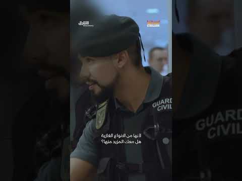 مصادرة أسماك مقاتلة ممنوعة من الدومينيكان في إسبانيا