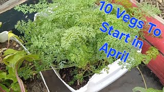10 Vegetables To Start In April //South Africa Cape Town Garden