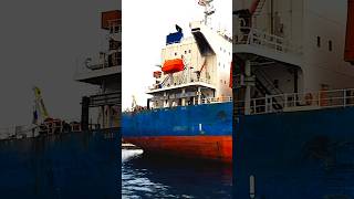 Massive Cargo Ship at Sea 🛳️ #ocean #viral #speedboat #trending #shorts