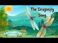 Dragonfly Quiz