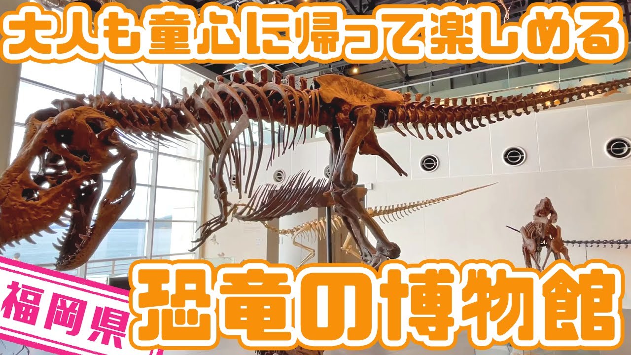長崎県 骨格標本180点 21年10月開館 長崎市恐竜博物館 Youtube 長崎県 骨格標本180点 21年10月開館 長崎市恐竜博物館 Youtube
