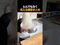 とんでもなく笑える瞬間まとめ🤣😂🤣