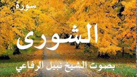 سورة الشورى بصوت الشيخ / نبيل الرفاعي 42