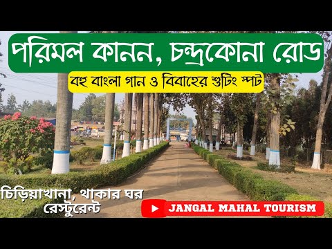 ভিডিও: পার্ক এলাকা: ল্যান্ডস্কেপিং, ফাংশন। মস্কোর পার্ক এলাকা