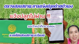 ตรวจสอบผลการแจ้งปลูกด้วยตนเอง ผ่าน ไม่ผ่าน เกษตรกรต้องรู้