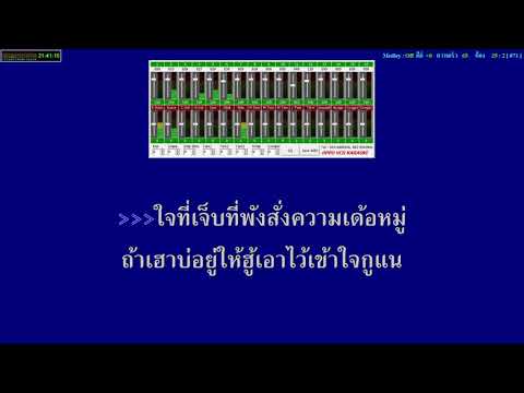 เหล้ามาหมู่ พริม วิลาสินี [Karaoke]