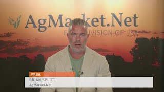 USDA Makes Minimal Adjustments to the June WASDE