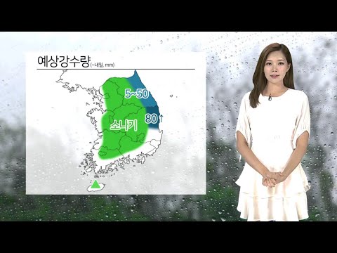 [날씨] 입추에도 폭염ㆍ열대야…내륙 곳곳 소나기 / 연합뉴스TV (YonhapnewsTV)