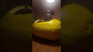 lemon car #memes #foryou #funny #roblox