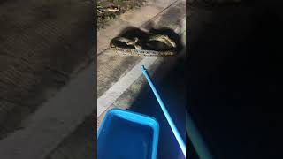 Reticulated Python Release