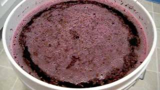 Cabernet Sauvignon In Primary Fermentation