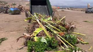 Maui Meadows Green Waste Removal