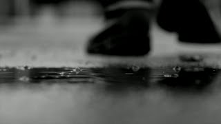 ショーウィンドウ