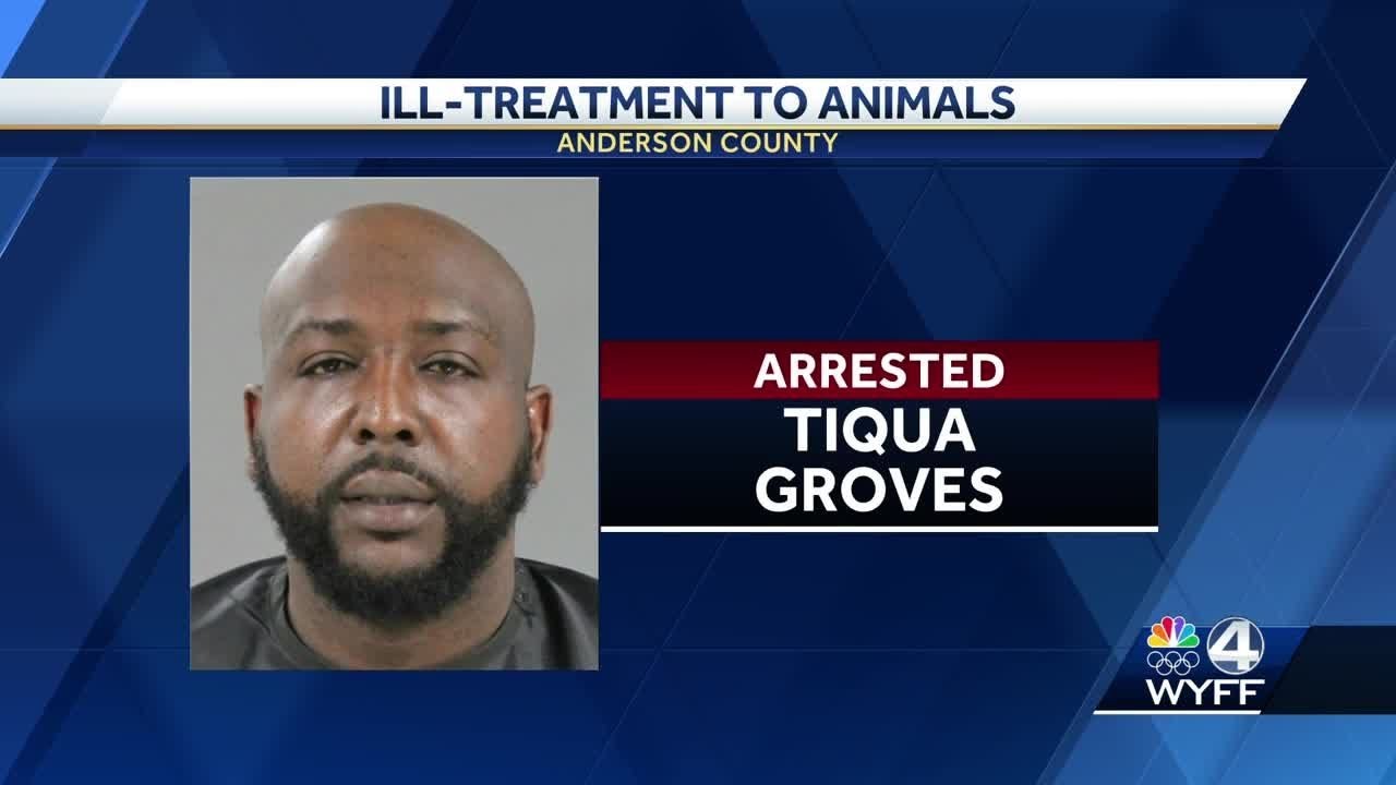 South Carolina man faces felony charges after more than 2 dozens ...