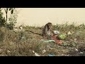 Monkey Eating Watermelon & Comedy Moments 😂🍉🐒