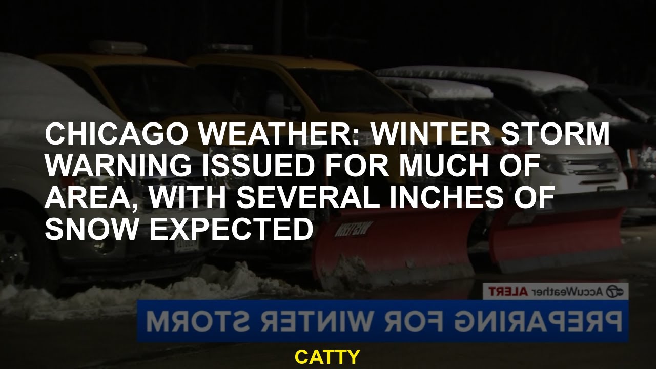 Chicago weather: Winter Storm Warning issued for much of area, with ...