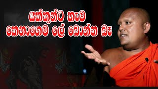 යක්කුන්ට හැම කෙනාගෙම ලේ බොන්න බෑ | Hodama Welawa