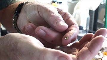 How to get Your Anniversary Clock Running Again