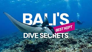 Bali Scuba Diving Guide Best Dive Sites Season U0026 Travel Tips