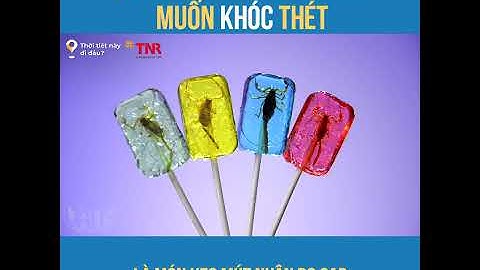 Có loại kẹo mút mà nhìn muốn khóc thét TTNDD