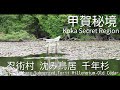 Highlight | 甲賀秘境 忍者村 水沒鳥居 千年古杉 |忍術村 沈み鳥居 千年杉|Koka Ninja Village Submerged Torii Millennium-Old Cedar