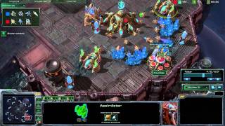 StarCraft 2 - [P] 2 Gate Void Ray (Chargin' Your Lazors) - Strategy