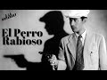 EL PERRO RABIOSO (1949) Resumen. #akirakurosawa