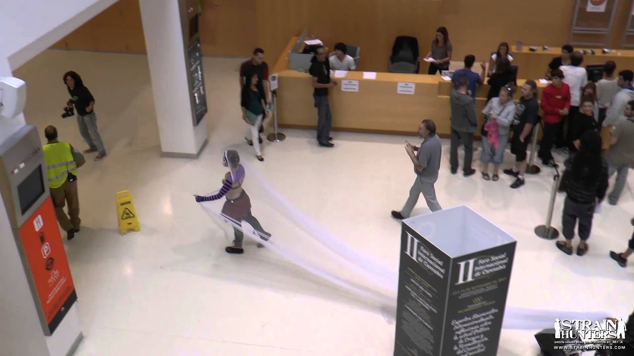 Strainhunters Live - Expogrow 2013 in Irun - Performers during the fair