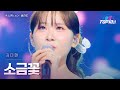 김다현 キムダヒョン 소금꽃 塩の花 한일톱텐쇼 66회