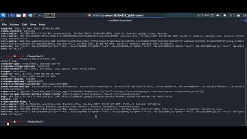 Using CURL command to retrieve the remote website information