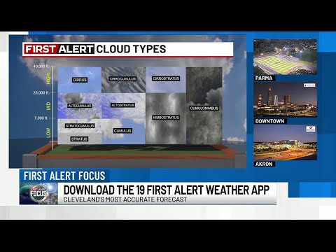 First Alert Focus: