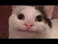 path.exe fans reacting to "Path fans when they see Mono on a Gunsmith Build" | #shorts