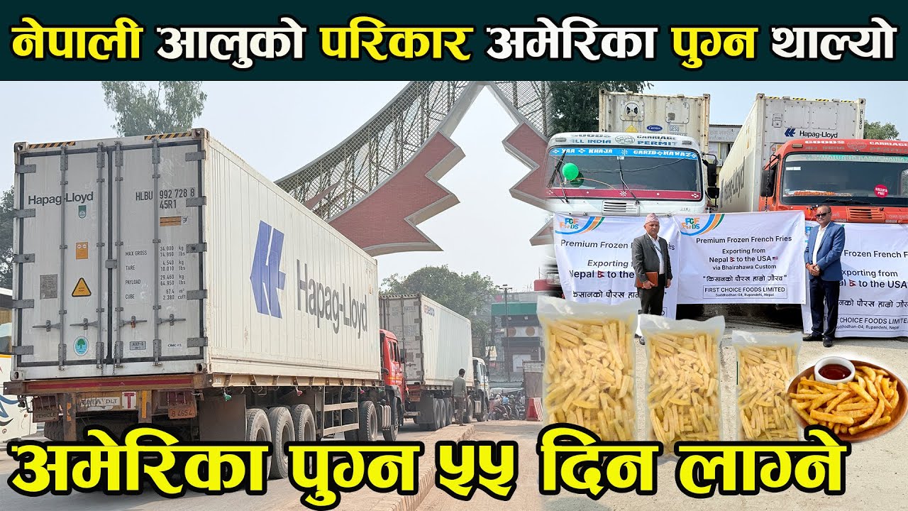 नेपाली आलुको परिकार अमेरिका पुग्न थाल्योअमेरिका पुग्न ५५ दिनNepali French Fries Exported to America