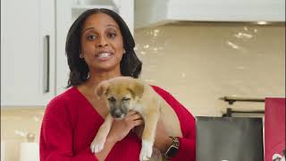 Purina Puppy Food, Providing a Lifetime of Healthy Nutrition by Purina 9,010,285 views 1 year ago 16 seconds