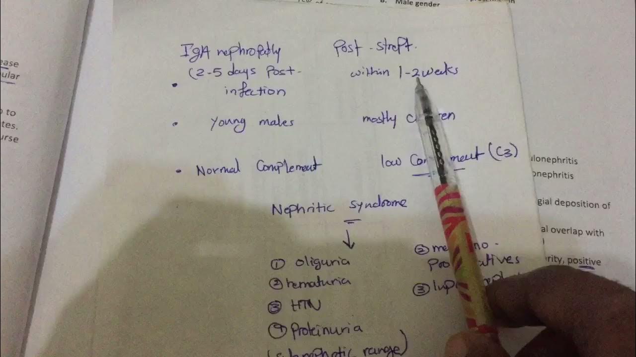 IgA nephropathy vs poststreptococcal glomerulonephritis YouTube