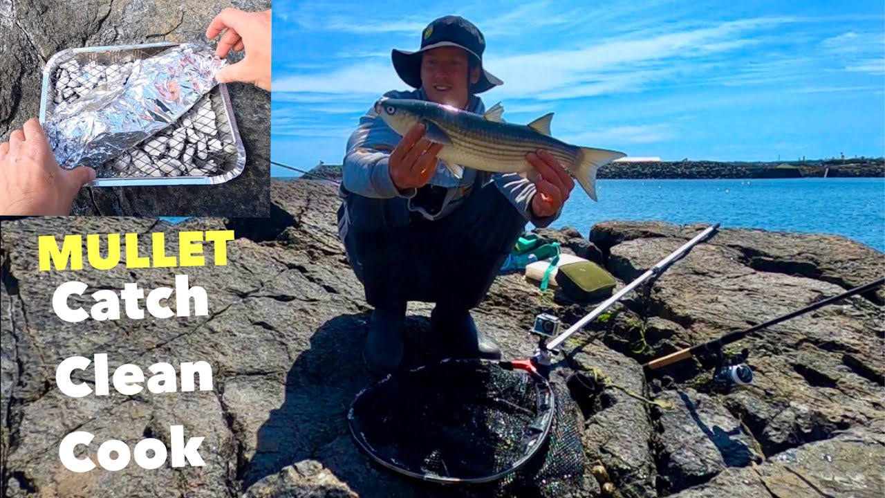 MULLET - Catch ,Clean ,Cook , BBQ Mullet on the Rocks ! 